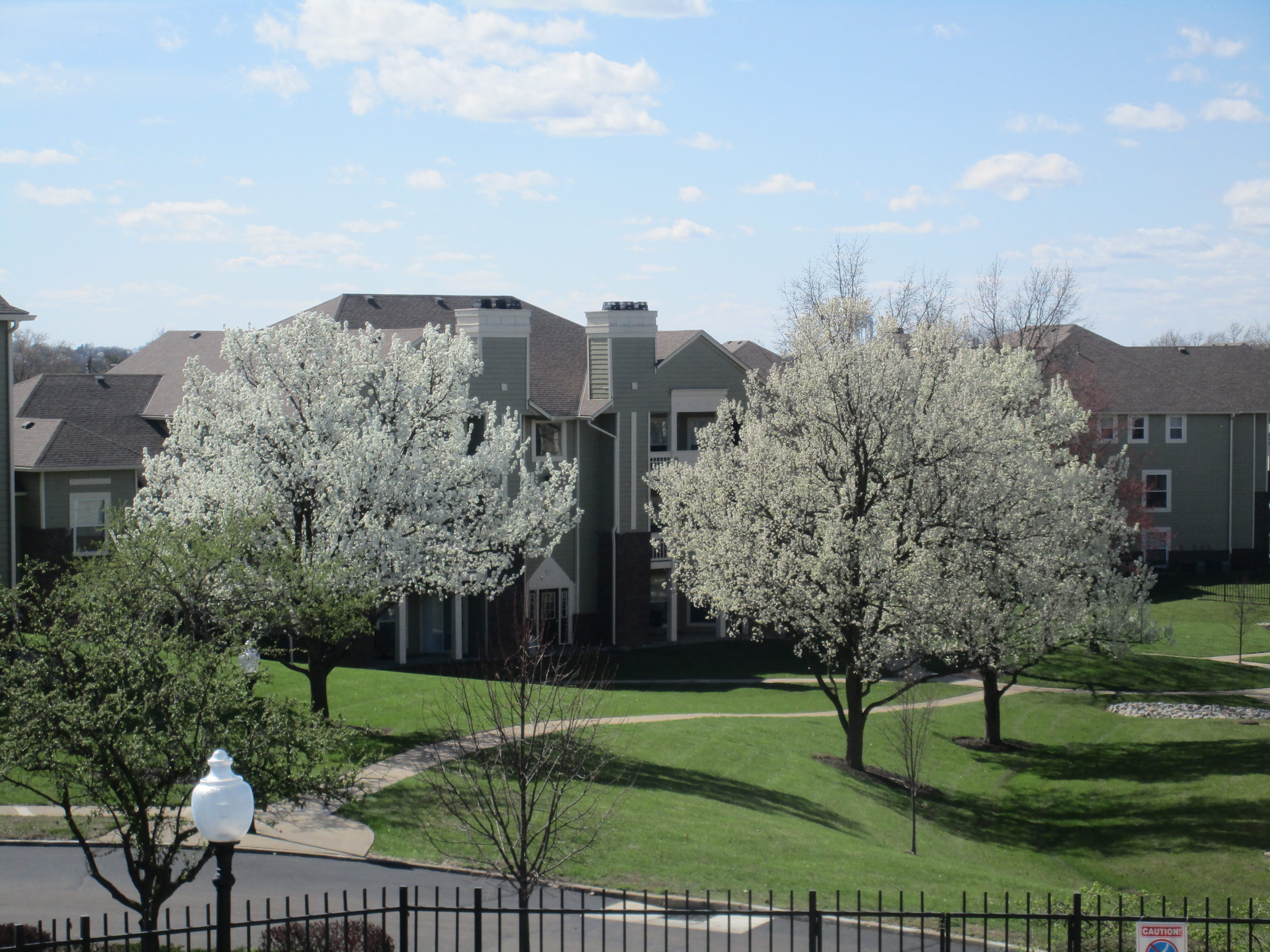 Spring Views
